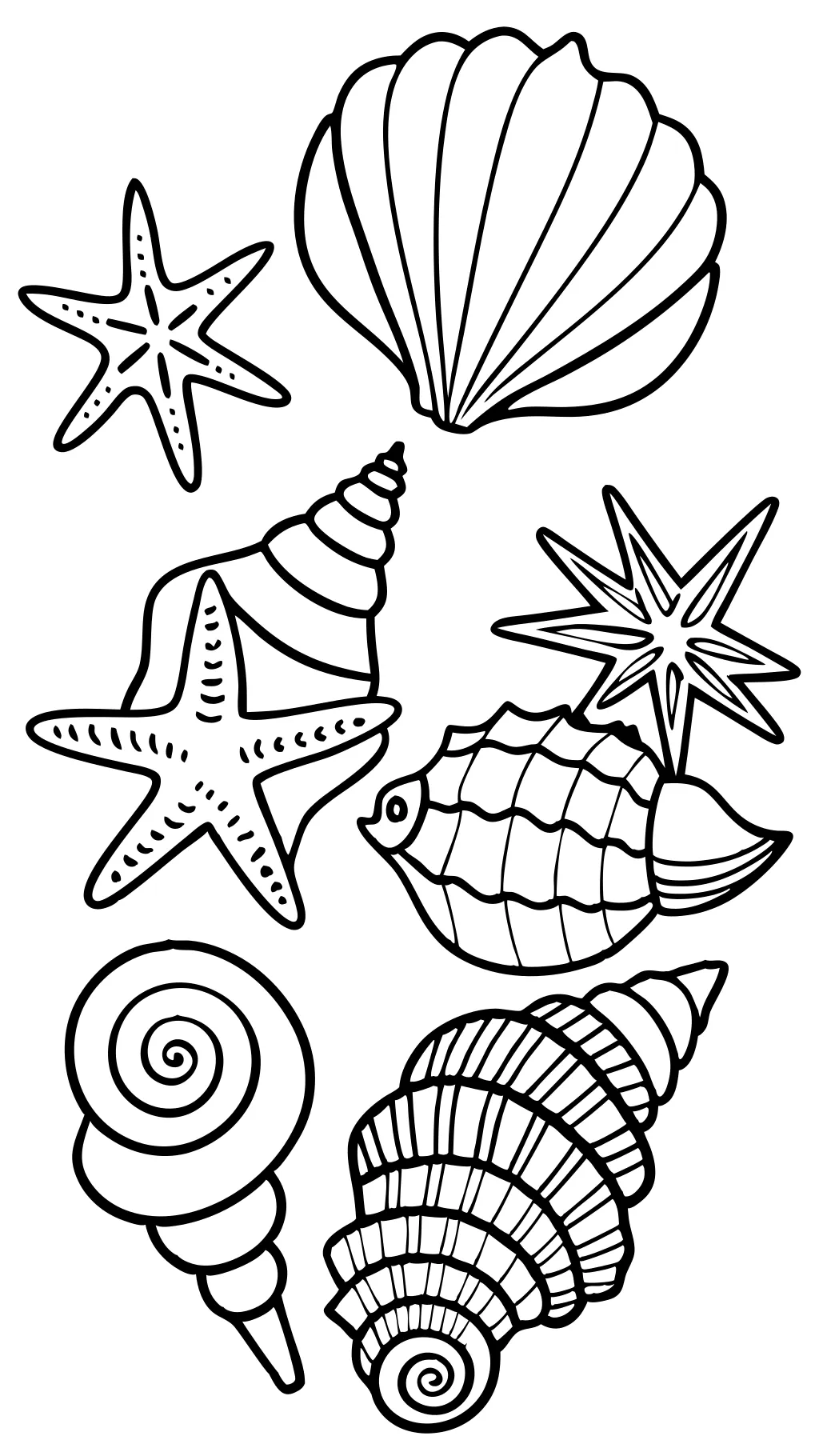 coloriage de coquille de mer